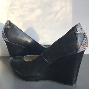 Seychelles wedge platforms